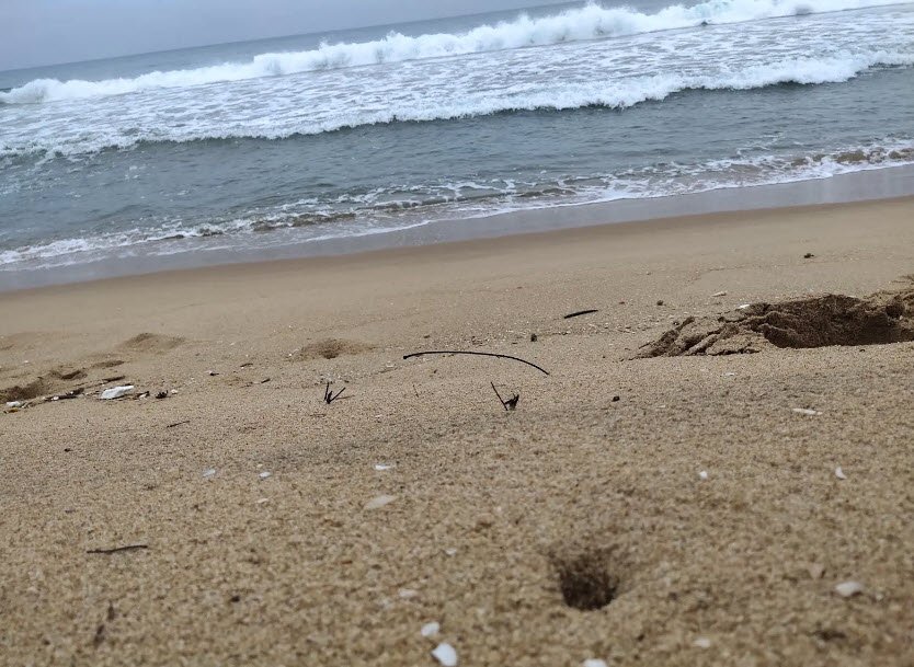 Kotha Sathram Beach, Andhra Pradesh, India